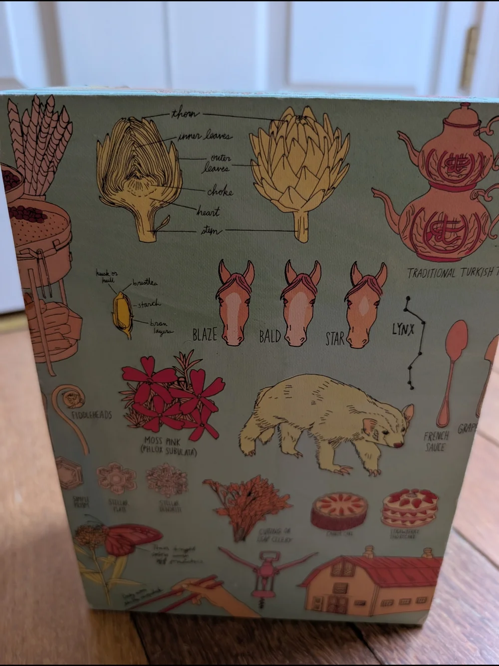 Julia Rothman Nature, Farm & Food Anatomy Boxed Set - Multi 3 Books